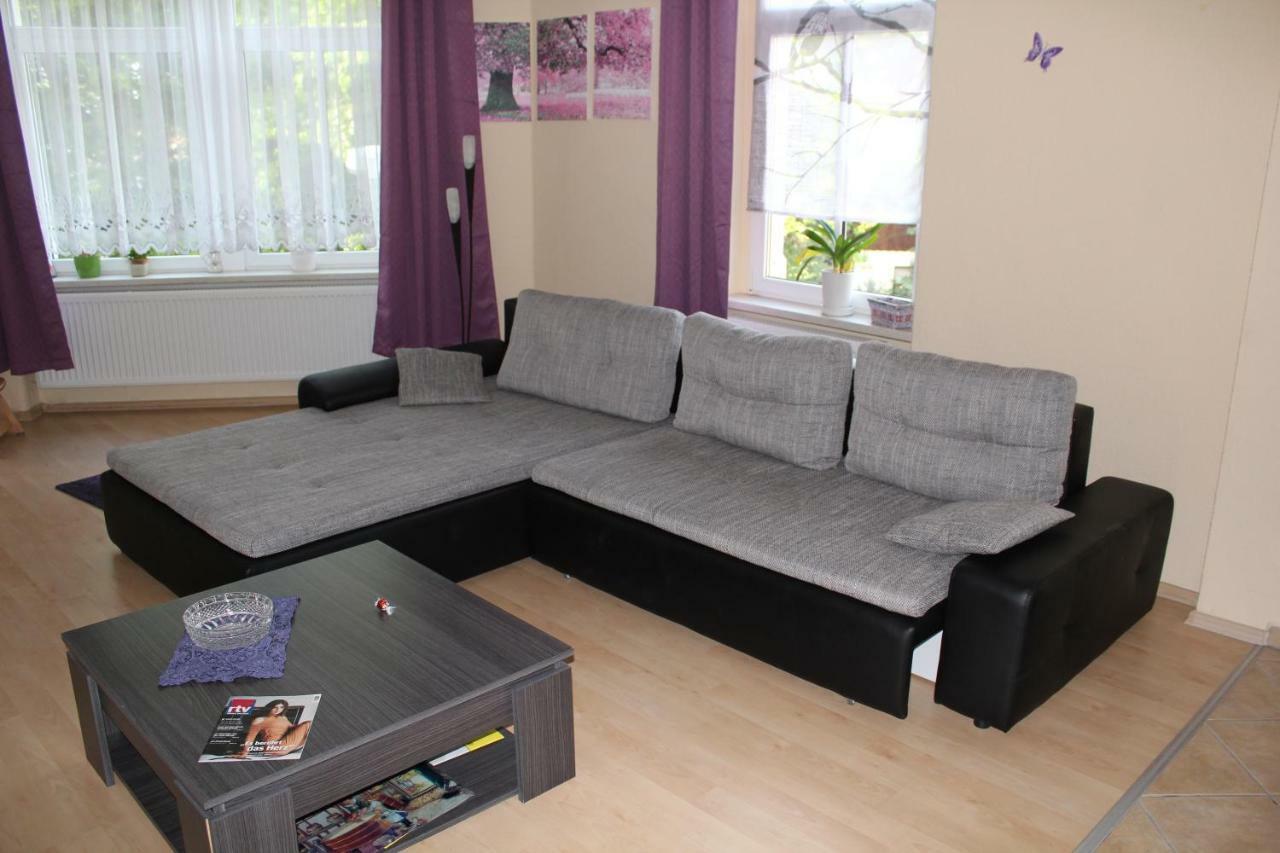 Ferienwohnung Am Schunckpark ドレスデン エクステリア 写真